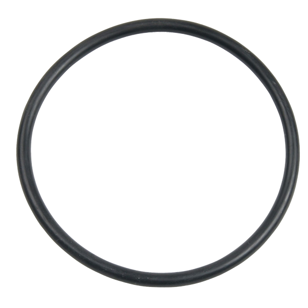 Carlson pump rubber O-ring