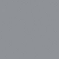 Load image into Gallery viewer, Neptune Gray Pennel Orca
