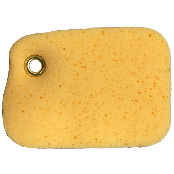 Boat Sponge with grommet
