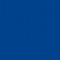 Load image into Gallery viewer, Blue NRS STAR PVC 1000d Patch Material
